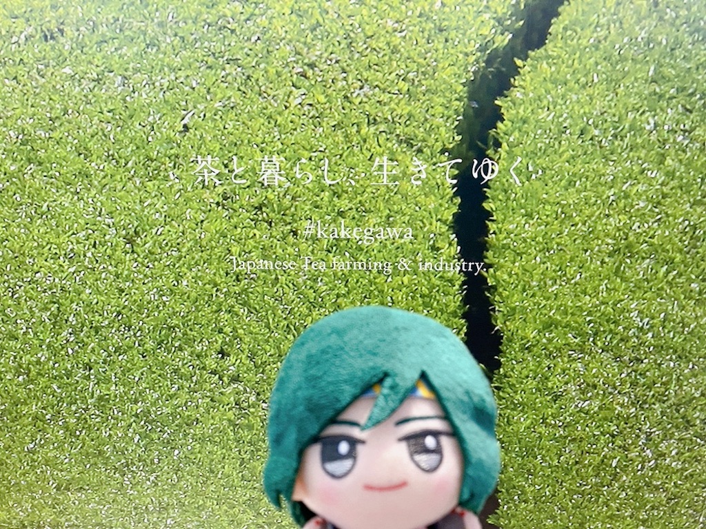 f:id:mai88765:20251103124141j:image