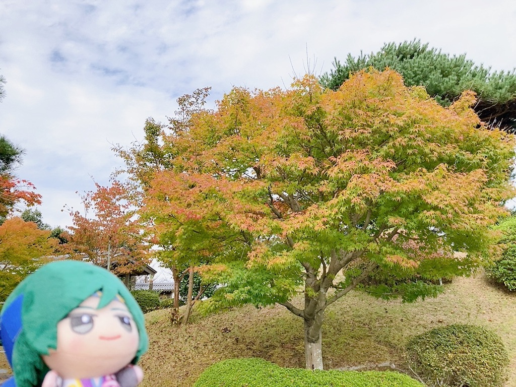 f:id:mai88765:20251103141029j:image