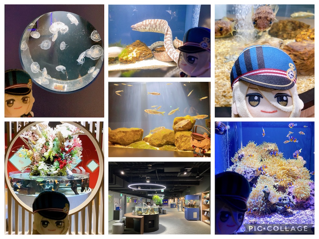 f:id:mai88765:20251103143336j:image