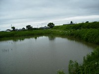 f:id:mai9mami:20060616230552j:image