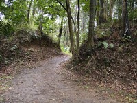 f:id:mai9mami:20070228154730j:image