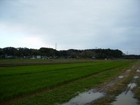 f:id:mai9mami:20070228173621j:image