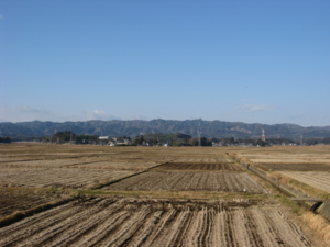 f:id:mai9mami:20080106093004j:image