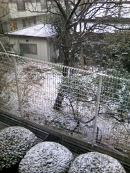 f:id:mai9mami:20080123072909j:image