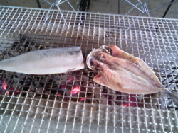 f:id:mai9mami:20081101131130j:image f:id:mai9mami:20081101131130j:image