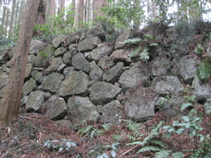 f:id:mai9mami:20091230130357j:image