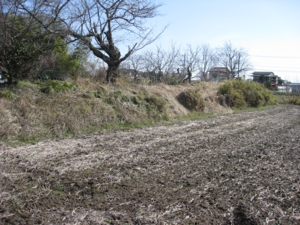 f:id:mai9mami:20100322092436j:image