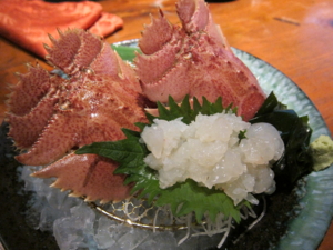 f:id:mai9mami:20100401205019j:image f:id:mai9mami:20100401205019j:image