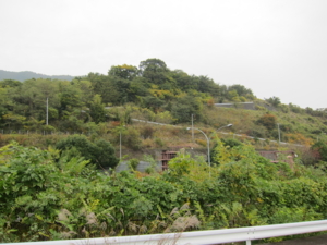 f:id:mai9mami:20100820102509j:image