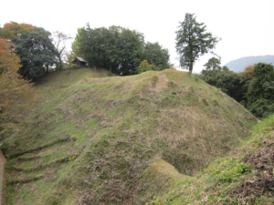 f:id:mai9mami:20100820120814j:image