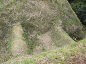 f:id:mai9mami:20100820120918j:image