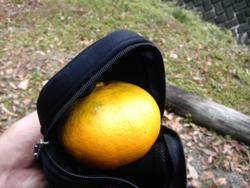 f:id:mai9mami:20101114110702j:image