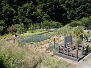 f:id:mai9mami:20110723105637j:image f:id:mai9mami:20110723105637j:image