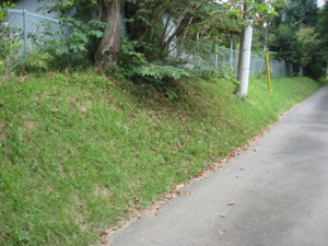 f:id:mai9mami:20110910131935j:image