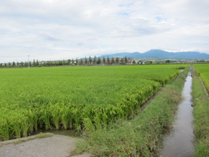 f:id:mai9mami:20110919123242j:image