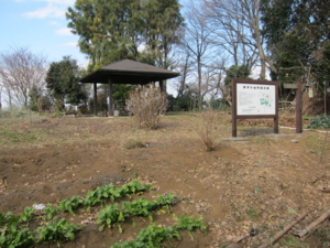 f:id:mai9mami:20120114124726j:image