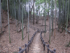 f:id:mai9mami:20120114141720j:image