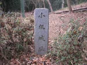 f:id:mai9mami:20120114143423j:image