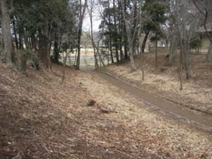 f:id:mai9mami:20120311143237j:image