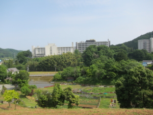 f:id:mai9mami:20120526142218j:image