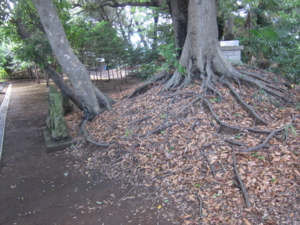 f:id:mai9mami:20120610104234j:image