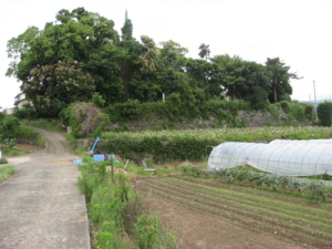 f:id:mai9mami:20120630134756j:image