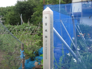 f:id:mai9mami:20120630141806j:image