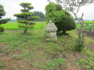 f:id:mai9mami:20120718115647j:image