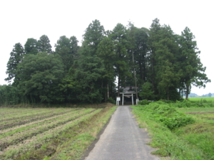 f:id:mai9mami:20120718121414j:image