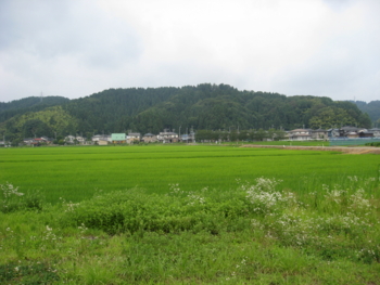 f:id:mai9mami:20120726091112j:image