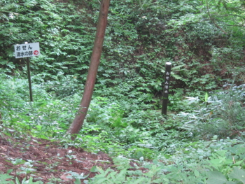 f:id:mai9mami:20120726092015j:image