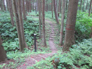 f:id:mai9mami:20120726094553j:image