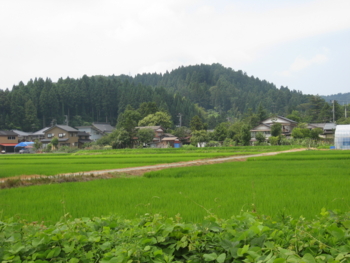 f:id:mai9mami:20120726112701j:image