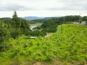 f:id:mai9mami:20120729061501j:image f:id:mai9mami:20120729061501j:image