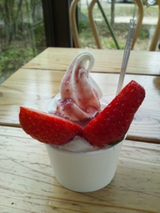 f:id:mai9mami:20121223115127j:image