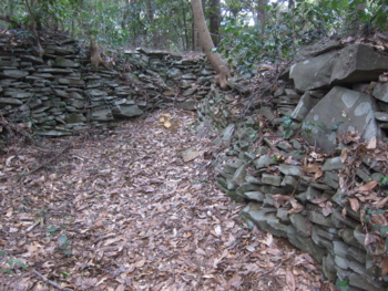 f:id:mai9mami:20130208125729j:image f:id:mai9mami:20130208125729j:image