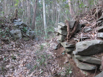 f:id:mai9mami:20130208133120j:image f:id:mai9mami:20130208133120j:image