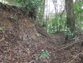 f:id:mai9mami:20130622111516j:image