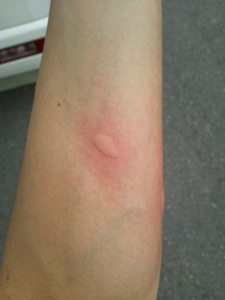 f:id:mai9mami:20130622113052j:image