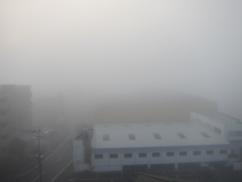 f:id:mai9mami:20140202080715j:image