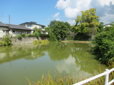 f:id:mai9mami:20140913103243j:image