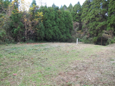 f:id:mai9mami:20141208125740j:image