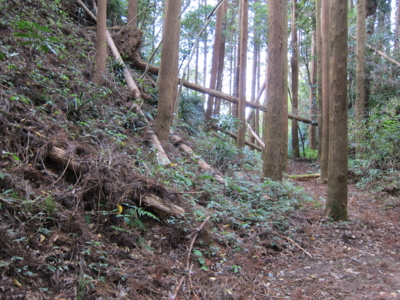 f:id:mai9mami:20141208130022j:image