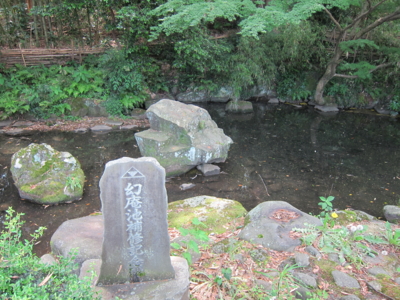 f:id:mai9mami:20150531110629j:image