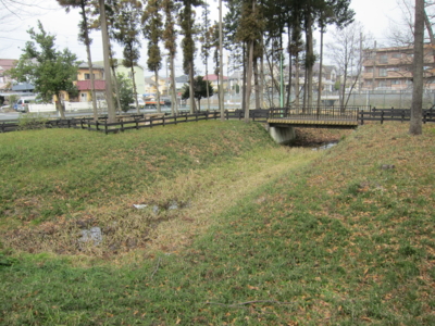 f:id:mai9mami:20160305103748j:image