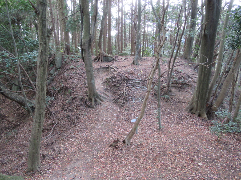 f:id:mai9mami:20181208140029j:plain