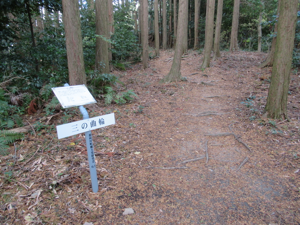 f:id:mai9mami:20181208140248j:plain