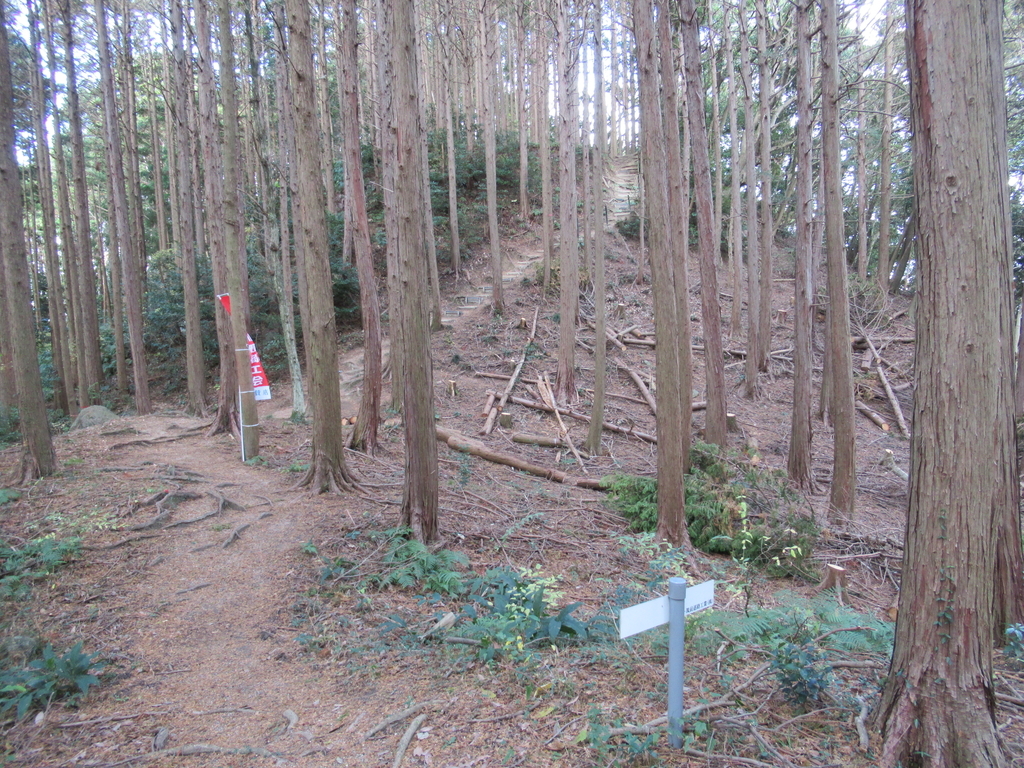 f:id:mai9mami:20181208140504j:plain