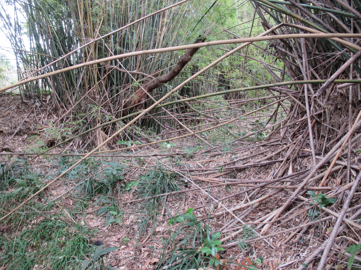 f:id:mai9mami:20190309122850j:plain