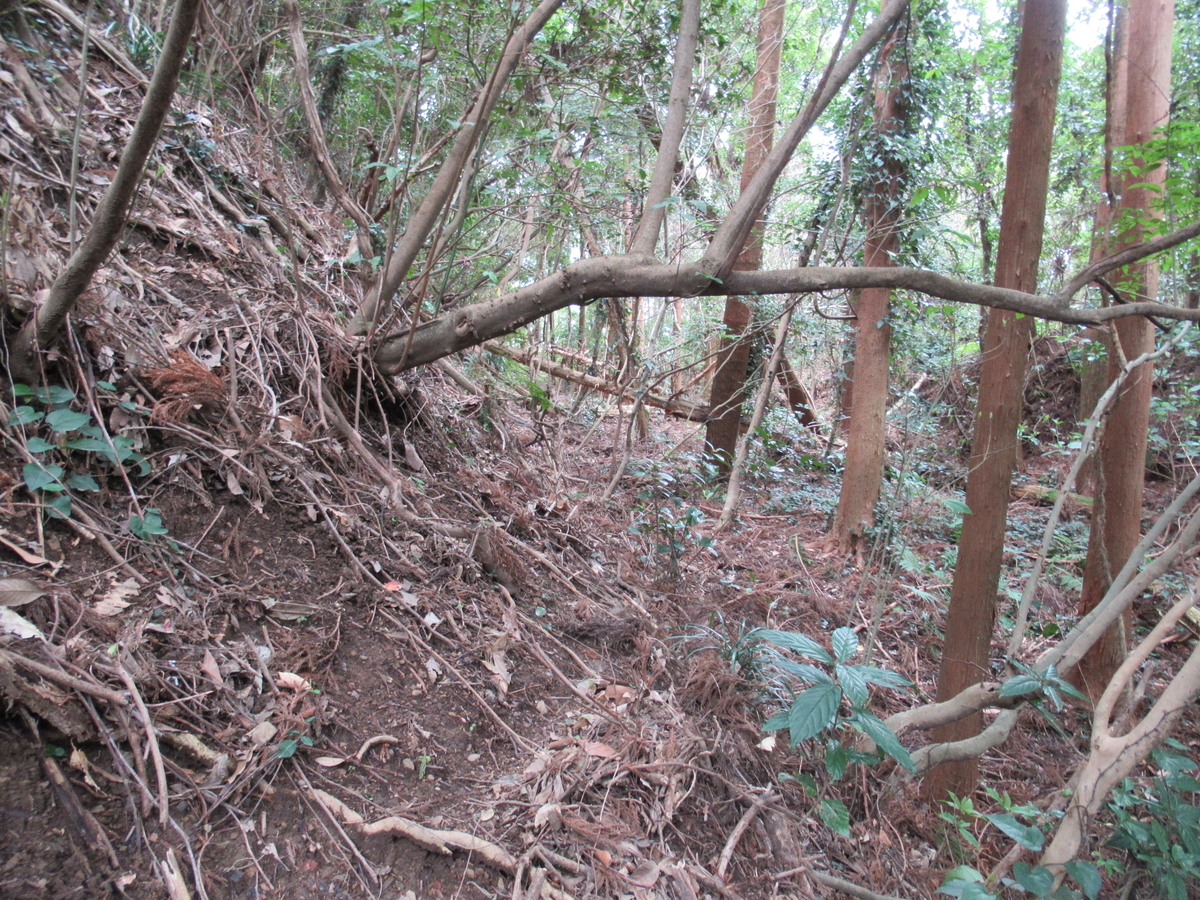 f:id:mai9mami:20190309125042j:plain